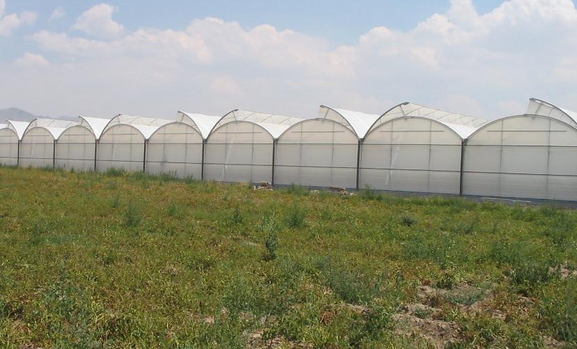 Iskreno čestitamo našemu podjetju za zmago pri novem projektu