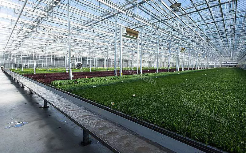 Greenhouse Rešitev: trajnosten pristop k kmetijstvu