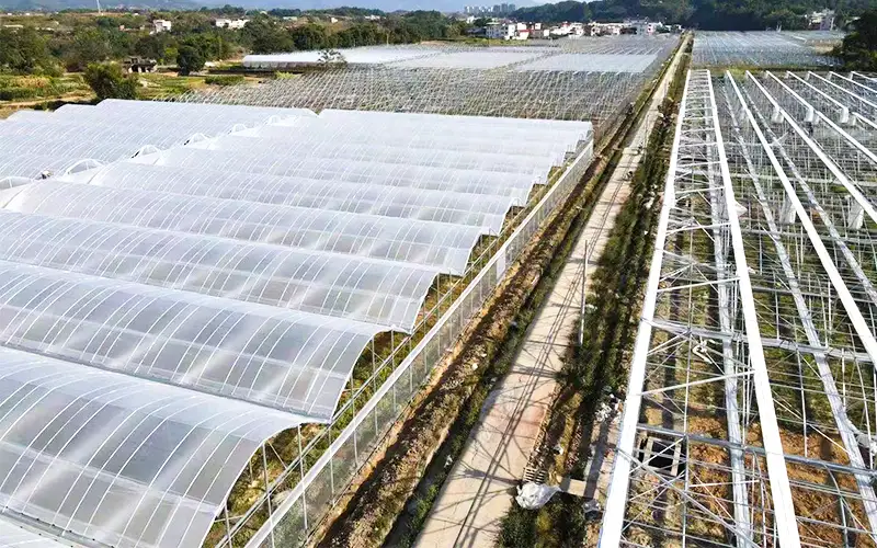 Raziščite greben - prezračen plastični rastlinjak, da povečate proizvodnjo in rešite problem visoke temperature