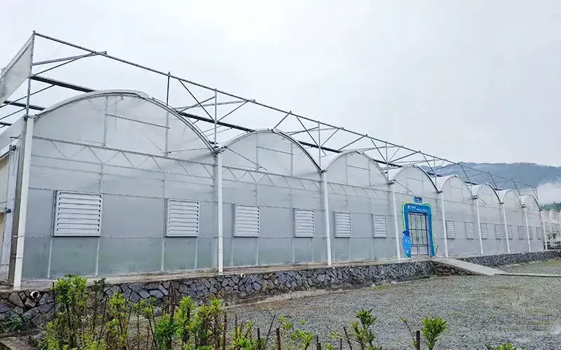 Večrazponski rastlinjak iz plastične folije